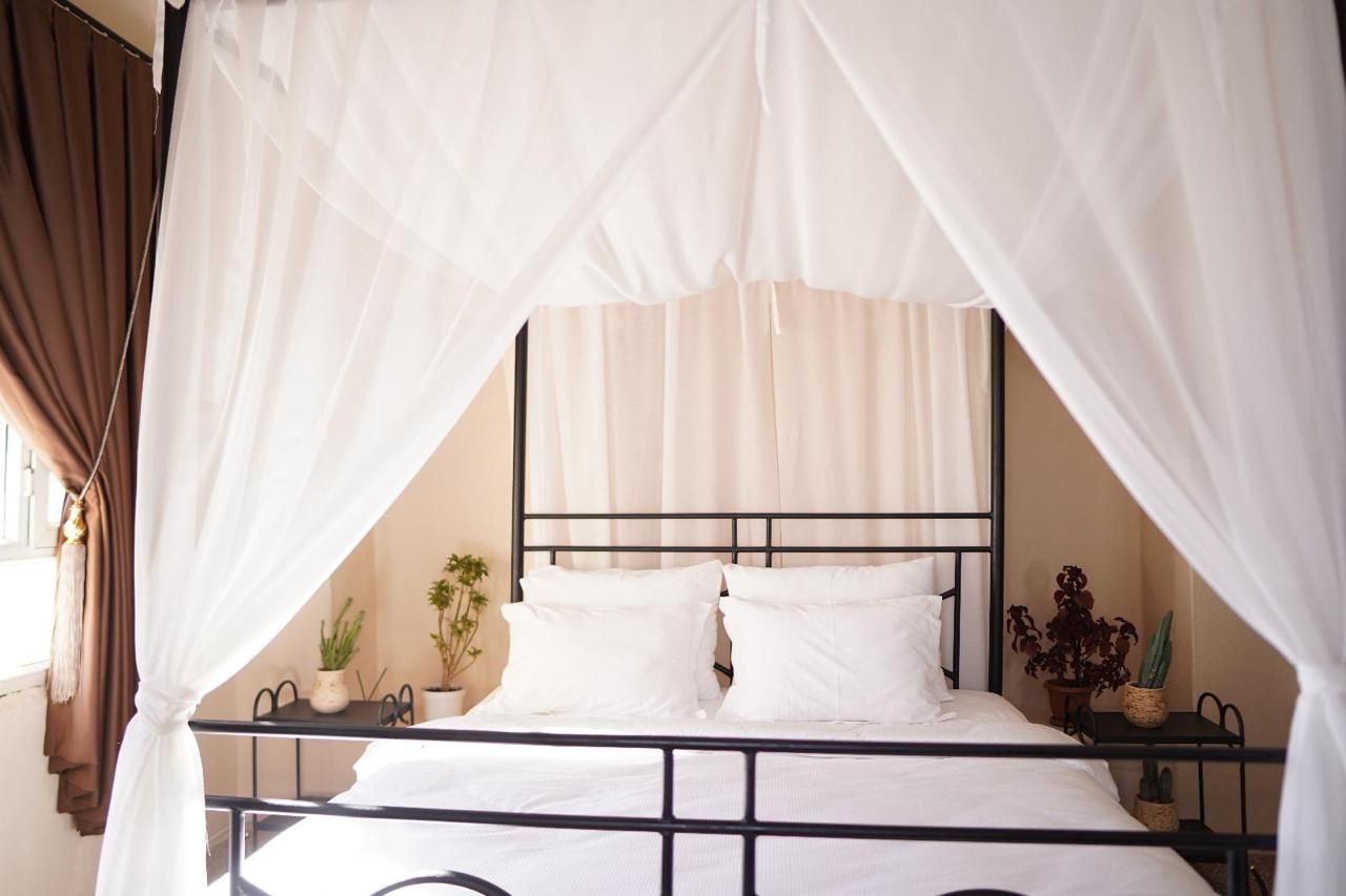 Manzara Deluxe 2 - görsel 2